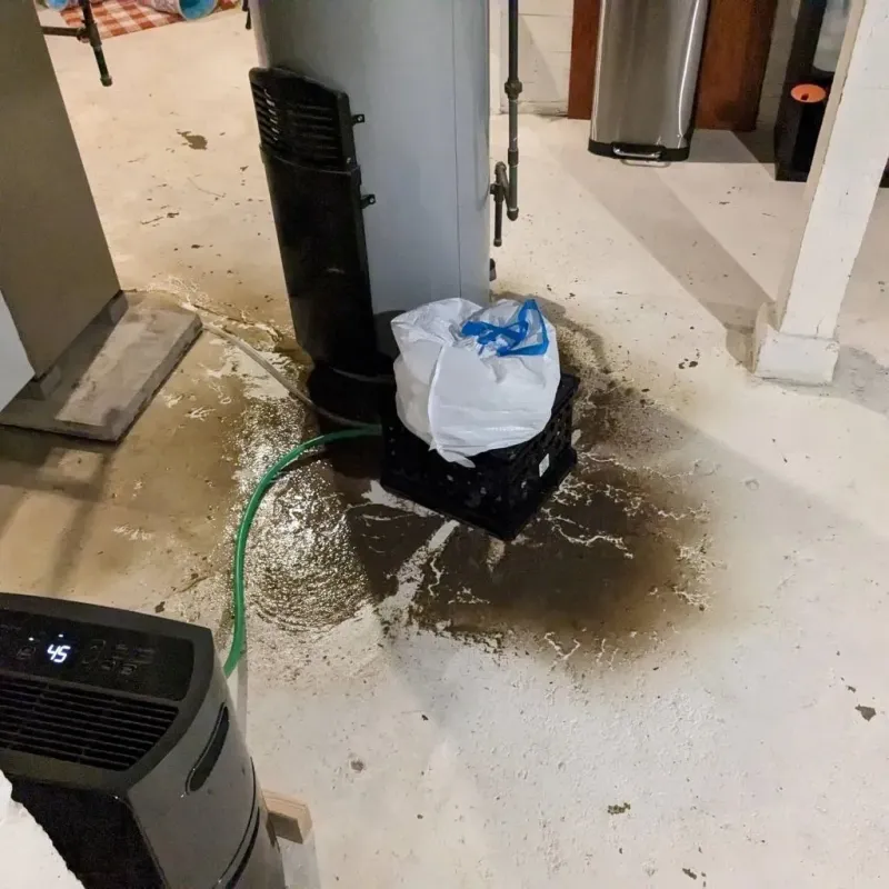 Sewage Backup Cleanup Service in Comanche, OK